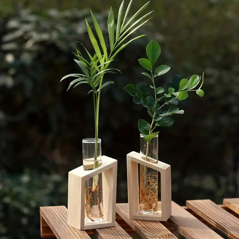 2pcs Glass Tube Plant Propagation Station with Wooden Stand