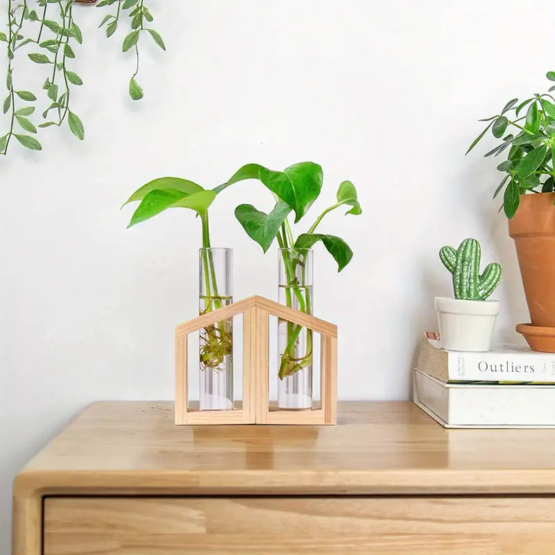 2pcs Glass Tube Plant Propagation Station with Wooden Stand