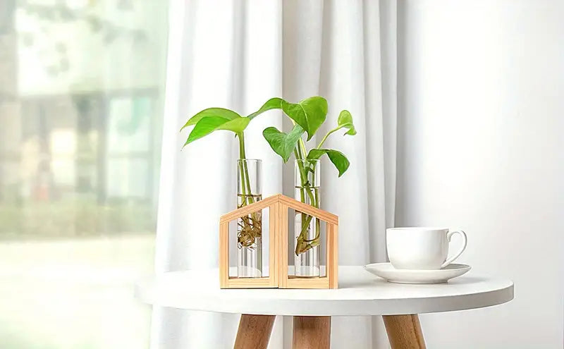 2pcs Glass Tube Plant Propagation Station with Wooden Stand