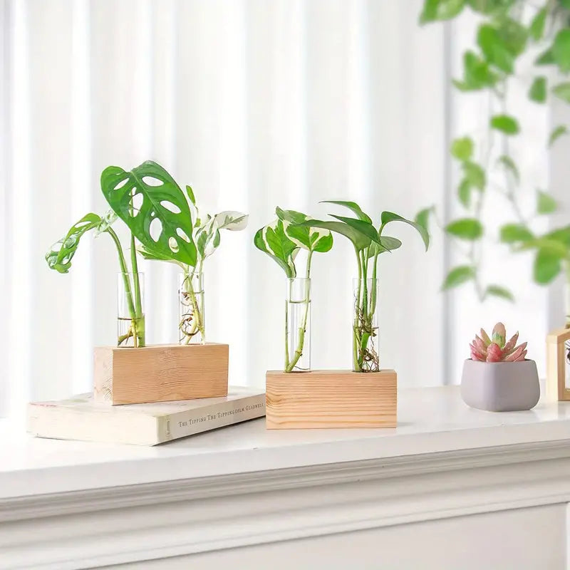 2pcs Glass Tube Plant Propagation Station with Wooden Stand